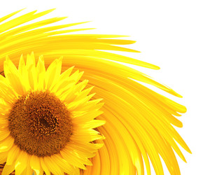 Similar image 8276505