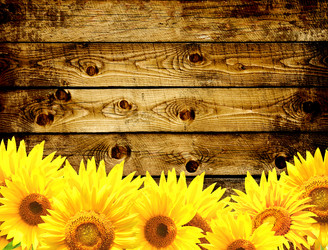 Similar image 8276513