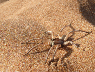 Similar image 8276535