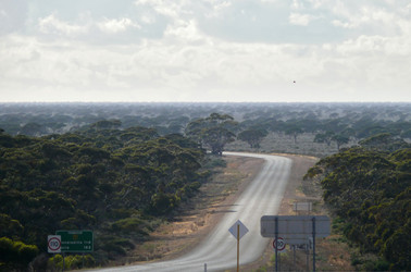 Similar image 8276586