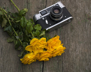 Similar image 8276596