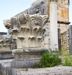 Similar image 8276617