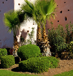 Similar image 8276625