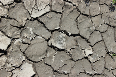 Similar image 8276662