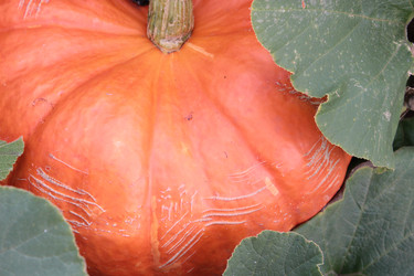 Similar image 8276664