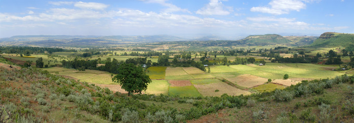 Similar image 8276723