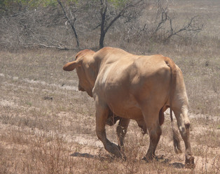 Similar image 8276727