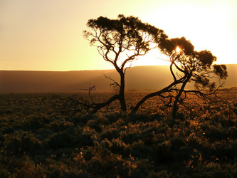 Similar image 8276733