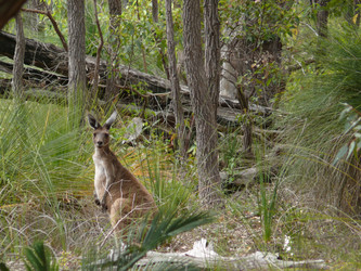 Similar image 8276739