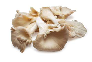 Similar image 8276775