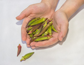 Similar image 8276784