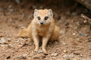 Similar image 8276787