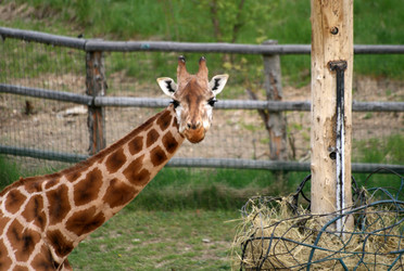 Similar image 8276788