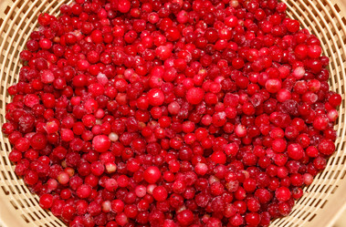 Similar image 8276793