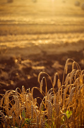 Similar image 8276816