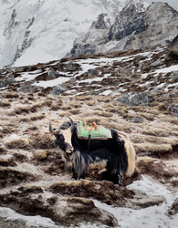 Similar image 8276823