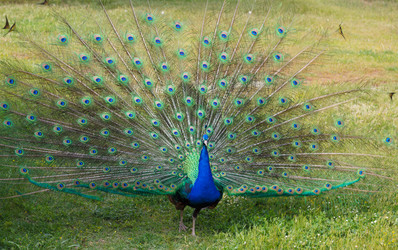 Similar image 8276827