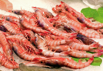 Similar image 8276846