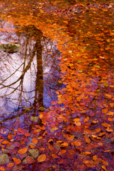 Similar image 8276954