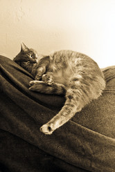 Similar image 8276981