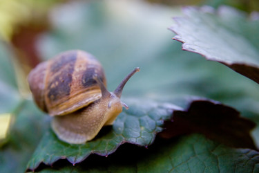 Similar image 8277003