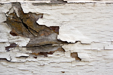 Similar image 8277044