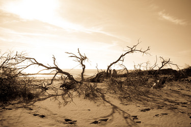 Similar image 8277048