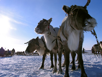 Similar image 8277148