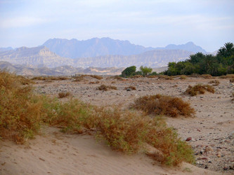 Similar image 8277419