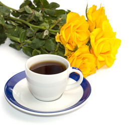 Similar image 8277434