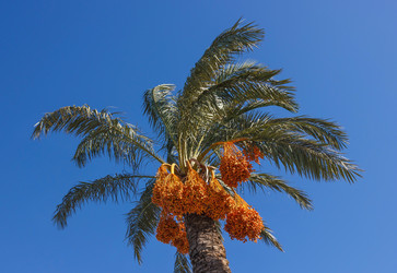 Similar image 8277498