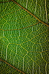 Similar image 8277555