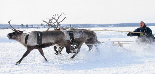 Similar image 8277578