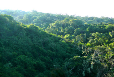 Similar image 8277665