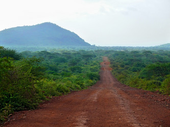 Similar image 8277666