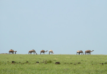 Similar image 8277671