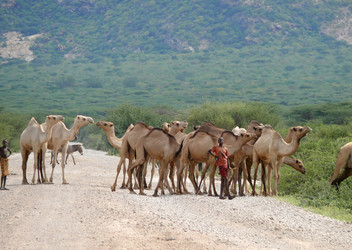 Similar image 8277685