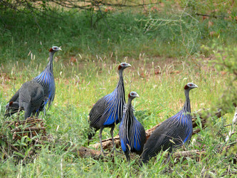 Similar image 8277693