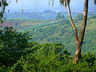 Similar image 8277704