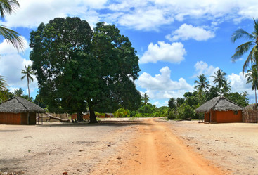 Similar image 8277719