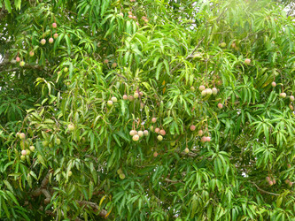 Similar image 8277722