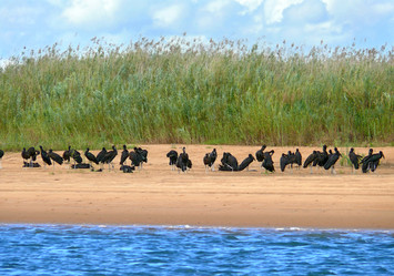 Similar image 8277734