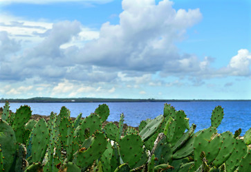 Similar image 8277752