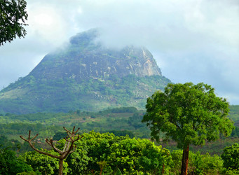 Similar image 8277788