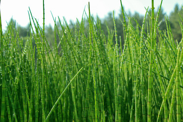 Similar image 8277823