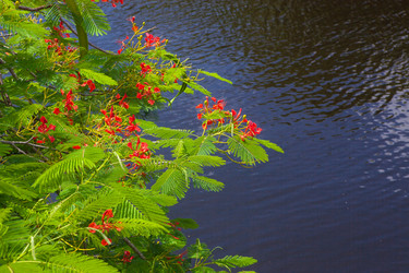 Similar image 8277825