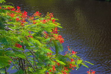 Similar image 8277828