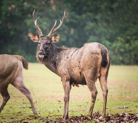 Similar image 8278050