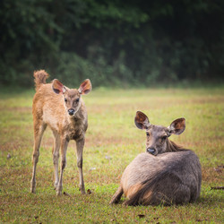 Similar image 8278061