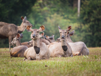 Similar image 8278068